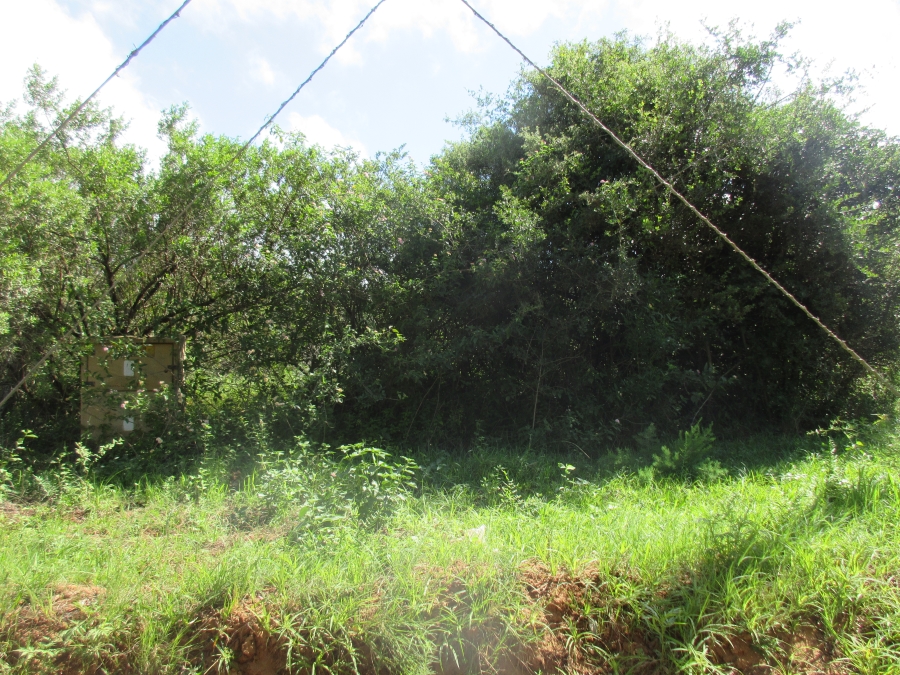 0 Bedroom Property for Sale in Bathurst Eastern Cape